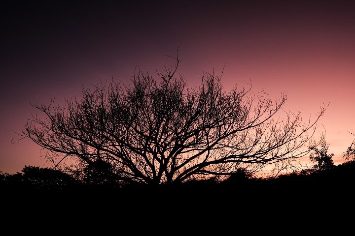 Entardecer na descida do Lajedo de Pai Mateus.